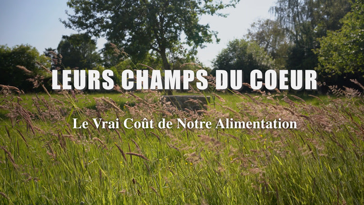 Leurs champs du Coeur