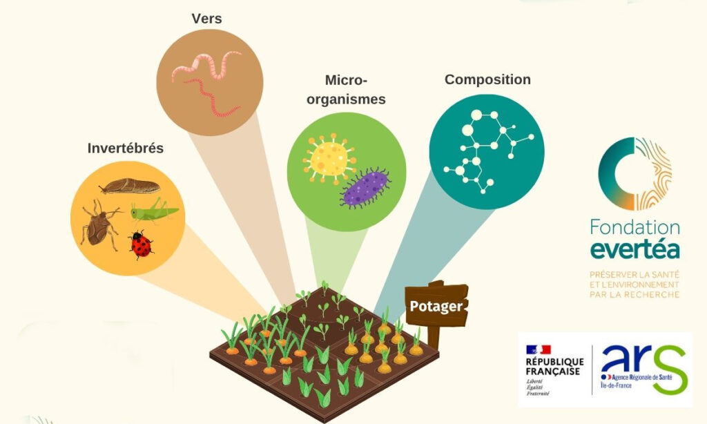 Découverte des sols evertea