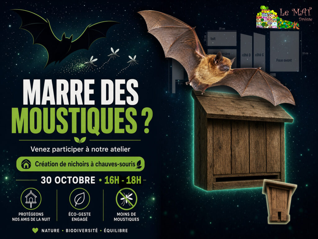 nichoir chauves-souris